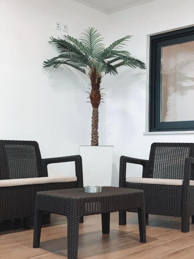 Alojamento Amelie - Apartamento براغا المظهر الخارجي الصورة